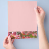 Flyers Creëer uw eigen roze droogtrommels (Hand)