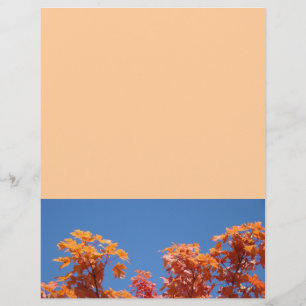 Flyers Ontwerper Vellen Kleurrijke Herfstboom Blad