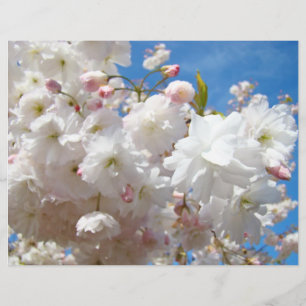 Flyers papier Maak je eigen aangepaste Bloesems