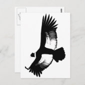 Flying Andean Condor Briefkaart (Voorkant / Achterkant)