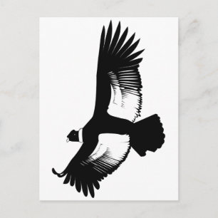 Flying Andean Condor Briefkaart