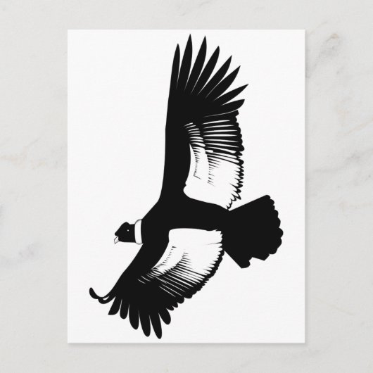 Flying Andean Condor Briefkaart (Voorkant)