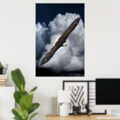 Flying Bald Eagle and Clouds Wildlife Foto Print2 Poster (Thuiskantoor)