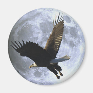 Flying BALD EAGLE & FULL MOON Wildlife Magnet Magneet