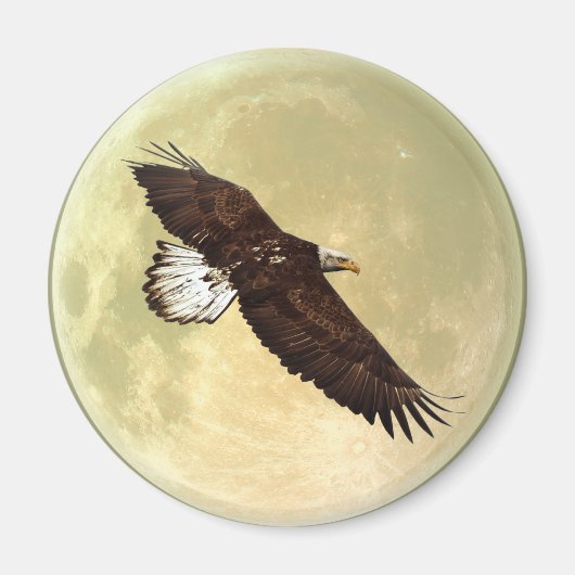 Flying BALD EAGLE & FULL MOON Wildlife Magnet Magneet (Voorkant)