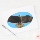 Flying Bald Eagle Wildlife Gift Ovale Sticker (Envelop)