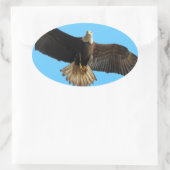 Flying Bald Eagle Wildlife Gift Ovale Sticker (Tas)