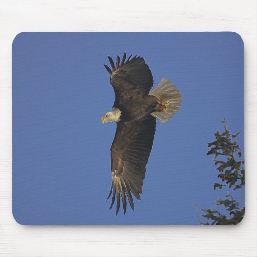 Flying Bald Eagle Wildlife supporter Art Muismat (Voorkant)