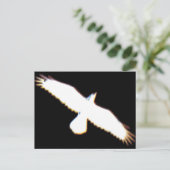 Flying Bird Silhouette Briefkaart (Staand voorkant)