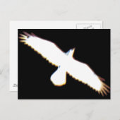 Flying Bird Silhouette Briefkaart (Voorkant / Achterkant)