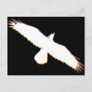Flying Bird Silhouette Briefkaart