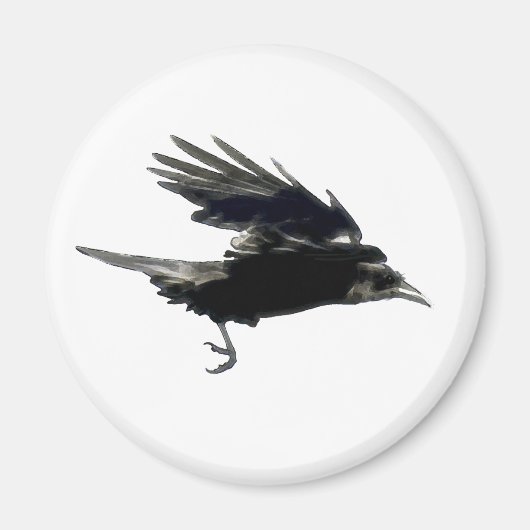 Flying Black Crow Birdlover Magnet Magneet (Voorkant)