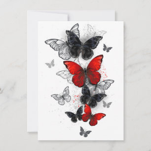 Flying Black en Red Morpho Vlinders