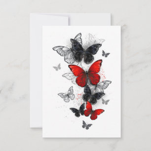 Flying Black en Red Morpho Vlinders