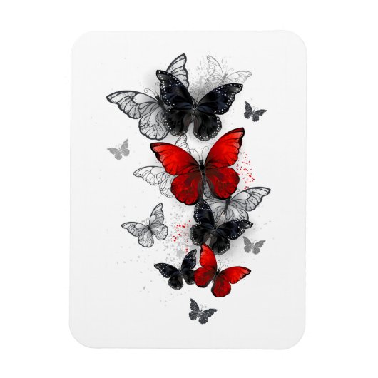 Flying Black en Red Morpho Vlinders Magneet (Verticaal)