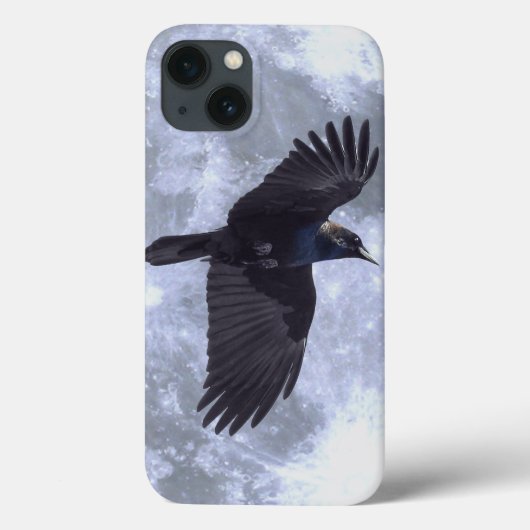 Flying Black Raven Gothic, Celtic, Willife Case-Mate iPhone Case (Achterkant)