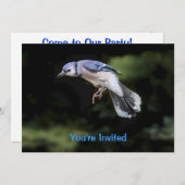 Flying Blue Jay Kaart (Voorkant / Achterkant)