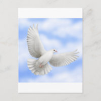 Flying Dove-Briefkaart