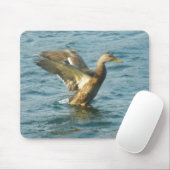 Flying Duck Mousepad Muismat (Met muis)