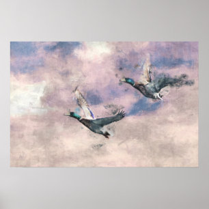 Flying Ducks Poster