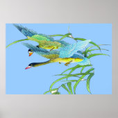 Flying Ducks poster Drawing 2 (Voorkant)