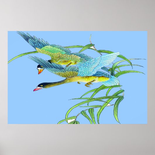 Flying Ducks poster Drawing 2 (Voorkant)