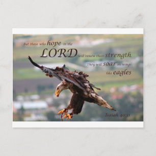 Flying Eagle Bijbelvers.jpg Briefkaart