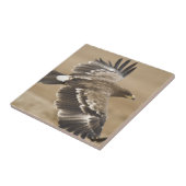 Flying Eagle Bird Tile Tegeltje (Zijkant)