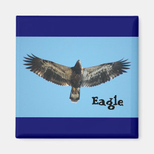 Flying Eagle Magnet Magneet