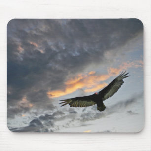 Flying Eagle Muismat