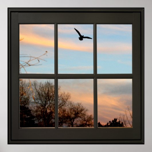 Flying Faux Window Illusion 24x24 Black Poster (Voorkant)