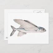 Flying Fish Exocoetidae Briefkaart (Voorkant / Achterkant)