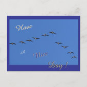 Flying Geese Cust. Ayez une carte postale de Nice (Devant)