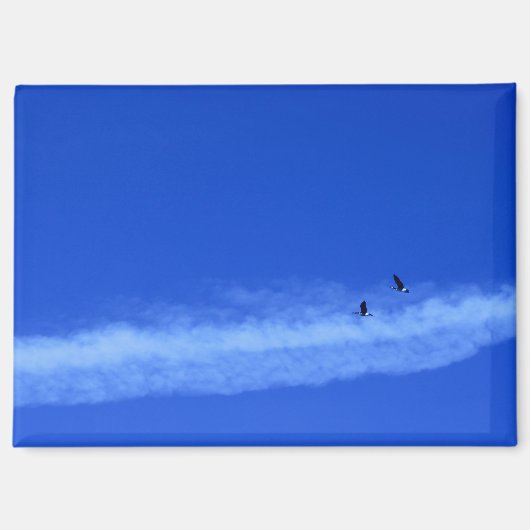 Flying Geese Magnet Magneet (Voorkant)