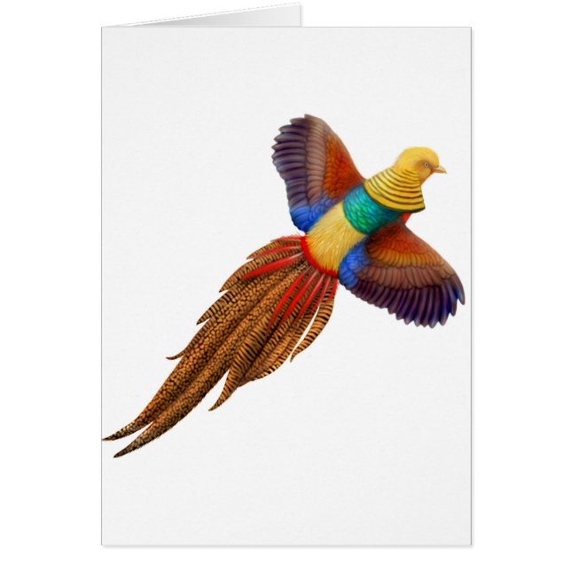 Flying Golden Pheasant Card (Voorkant)