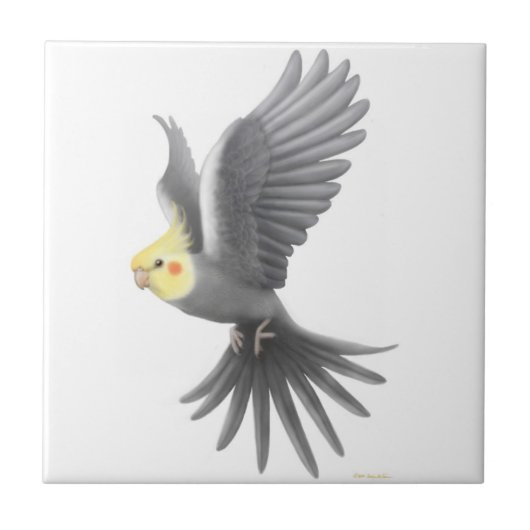 Flying Gray Cockatiel Parrot Tile Tegeltje (Voorkant)