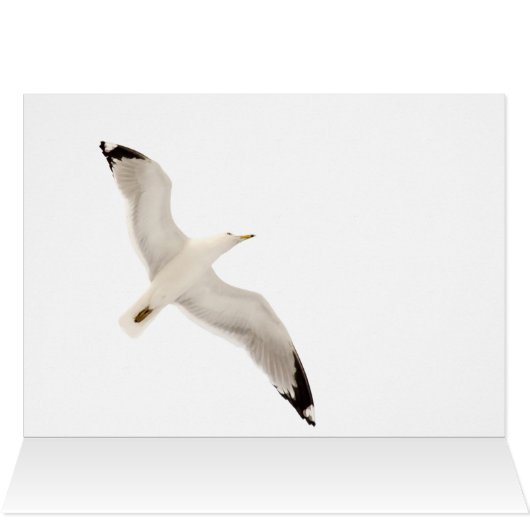 Flying Gull (Binnen Horizontaal (Boven))