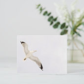 Flying Gull Briefkaart (Staand voorkant)