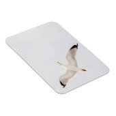 Flying Gull Magneet (Rechterzijde)