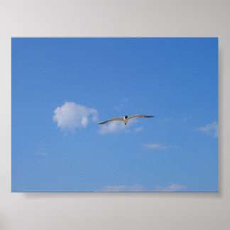 Flying Gull Poster