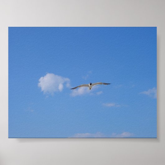Flying Gull Poster (Voorkant)