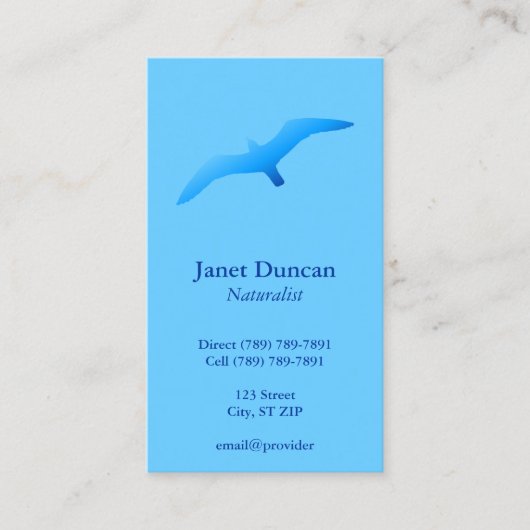 Flying Gull Visitekaartje (Voorkant)