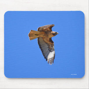 Flying Juvenile Red-Tailed Hawk Wildlife Mousepad Muismat