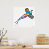 Flying Lady Amherst Pheasant Print (Keuken)