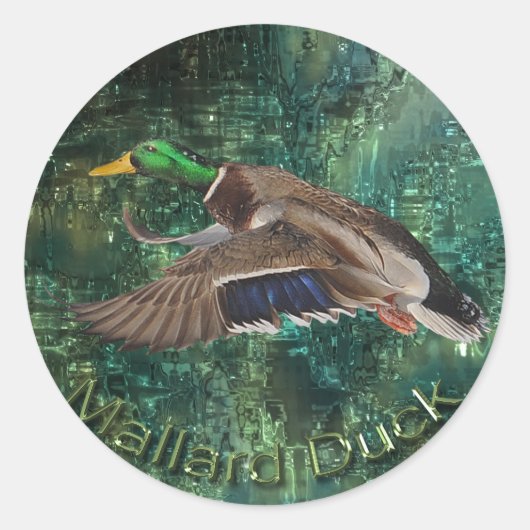 Flying Male Mallard Duck (Drake) Wilde Sticker (Voorkant)