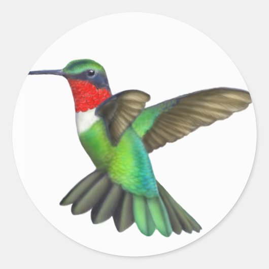 Flying Male Ruby Throated Hummingbird Sticker (Voorkant)