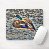 Flying Mallard Drake bij Sunset Wildlife Gift Muismat (Met muis)