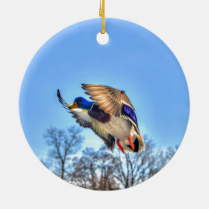 Flying Mallard Duck Drake Wildlife Foto Keramisch Ornament