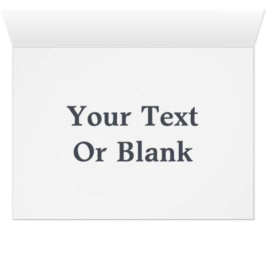 Flying Moose Aviation de Havilland DH3-C Otter (Binenzijde Horizontaal (Onderkant))