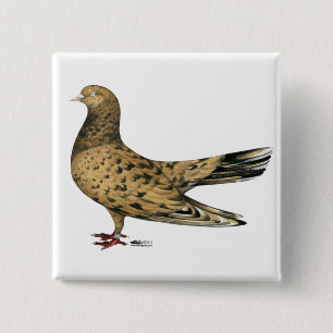 Flying Oriental Roller Pigeon Almond Vierkante Button 5,1 Cm